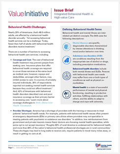 Value Initiative Issue Brief 1 Image