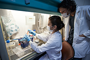 Coronavirus COVID-19 CDC Guidance stock. Two lab workers test samples.