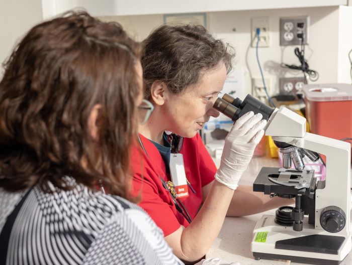 Staff looking through a microscope