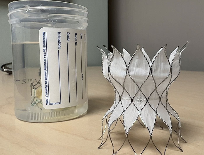 pulmonary valve sits on a counter next to a specimen cup