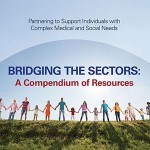 Bridging the Sectors Resouce cover