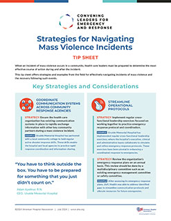 Cover Image of Strategies for Navigating Mass Violence Incidents