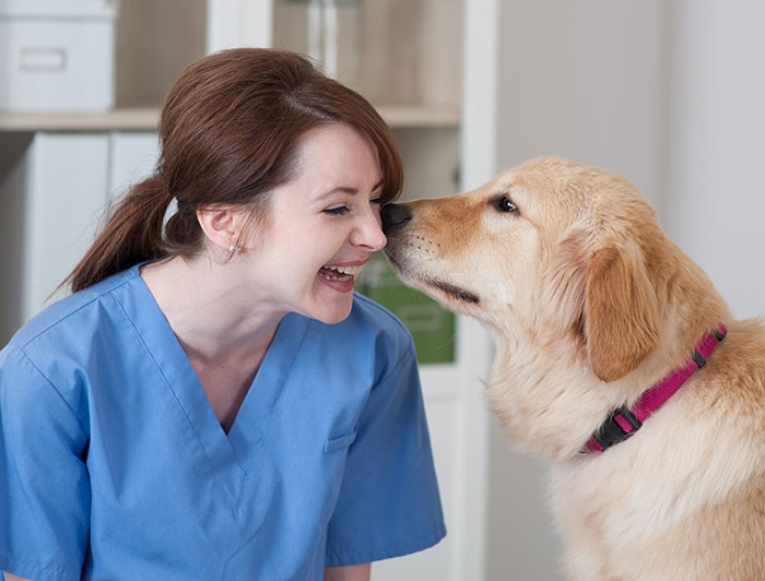 Rose Medical Center. A golden retriever sniffs a smiling female health worker wearing scrubs