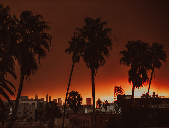 USC Keck Shool of Medicine. Photo of palm tries and LA buildings against the backdrop of smokey has and the glow of fires in the distance