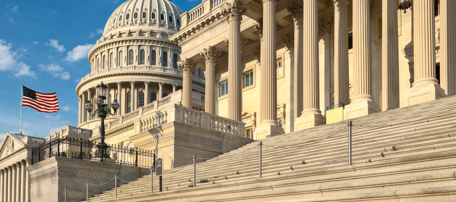 US Capitol with flag 900  x 400