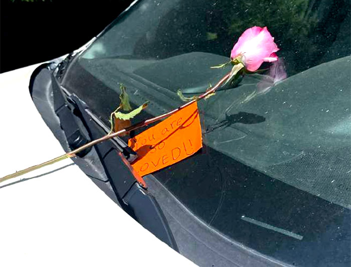 Telling the Hospital Story: Lakeview Hospital. Roses from anonymous volunteers lift patients’, loved ones’ spirits. Image shows a pink rose resting on a car windshield