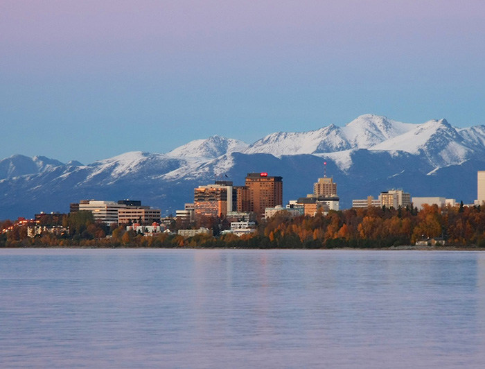 Telling the Hospital Story: Alaska Native Medical Center kitchen staff get lesson in traditional cooking: seal processing