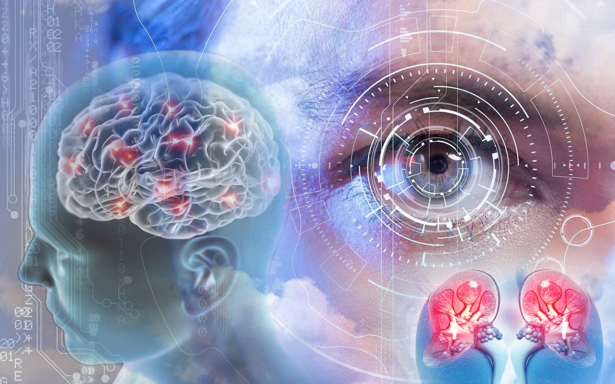 Early Disease Detection: 3 Tech Trends to Watch. A transparent head with a brain showing electric activity; a scan of an eye; a view inside a pair of kidneys.