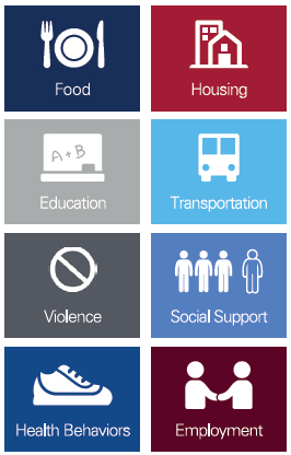Social determinants icons