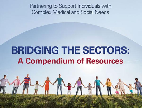 Bridging the Sectors cover