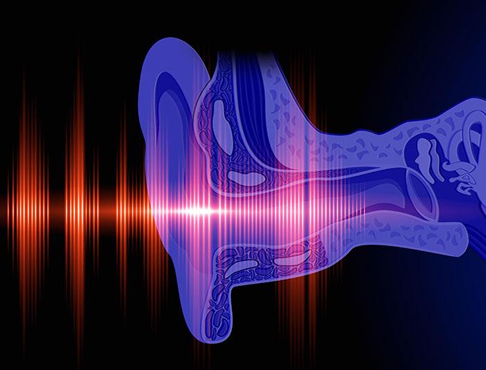 illustration of sound waves entering an ear canal