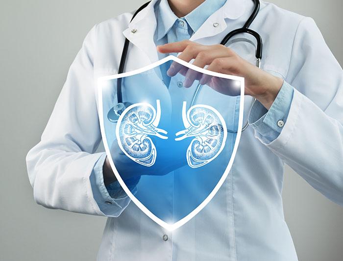 Composite image of a health worker showing an illustration of kidneys