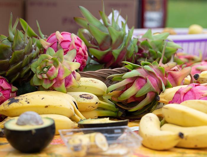 bananas, avocadoes and dragonfruit on an outdoor table